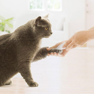 Pawbby MG-FP001 Pet Hair Trimmer